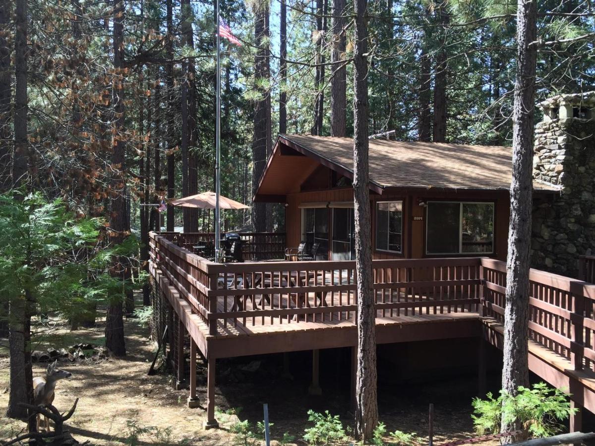 Papa Bear Cabin North Wawona Exteriör bild